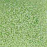 10/0 Czech Seed Beads #406 Pearl Dyed Pale Green 22g