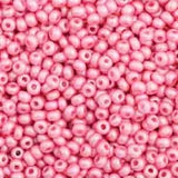 10/0 Czech Seed Beads #2393V Shiny Pink 22g