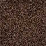 11/0 Czech Seed Beads #01549 C/L Terra Intensive Dark Brown 23g