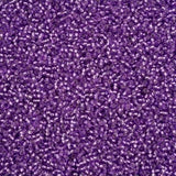 11/0 Czech Seed Beads #43288 Silver Lined Grape Solgel 23g