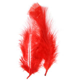 Plumes de Marabout Vrac Rouge 20g