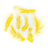 Marabou Feathers 5-7" Yellow 6g