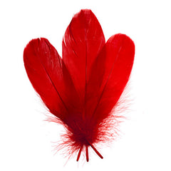 Goose Feathers 5-7" Red 6g