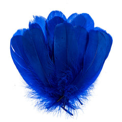 Goose Feathers 5-7" Royal Blue 6g