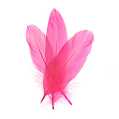 Goose Feathers 5-7" Pink 6g