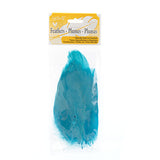 Goose Feathers Turquoise 6g