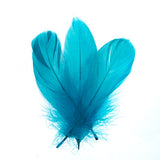 Goose Feathers Turquoise 6g