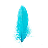 Goose Feathers Turquoise 6g