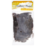 Plumes de Faisan Naturelles 3g