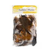 Plume Feathers 4-6" Natural Mix 20g