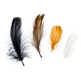 Plume Feathers 4-6" Natural Mix 20g