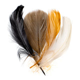 Plume Feathers 4-6" Natural Mix 20g