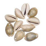 Drilled Cowrie Shells 10/pk