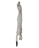 Ermine Fur Pelt 13"