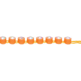 Plastic Rhinestone Banding 2mm Orange/Crystal AB 10yd/pk