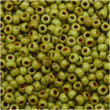 8/0 Toho Seed Beads #Y310 Sour Apple Picasso 8-9g Vial