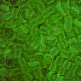 8/0 Toho Seed Beads #2721 Yellow Crystal / Bright Green 8-9g Vial