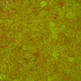 11/0 Toho Seed Beads #2720 Pink / Yellow Green 8-9g Vial