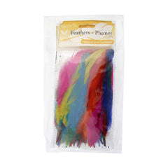 Goose Feathers 5-7" Multi Mix 6g