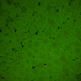 Round Plastic Beads 4mm Glow In The Dark 1000/pk