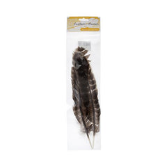 Turkey Feathers Barred 10-12" Natural 2/pk