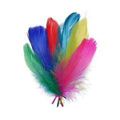 Goose Feathers 5-7" Multi Mix 6g