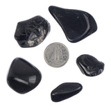 Black Tourmaline Tumbled Stone - Each