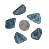 Apatite Tumbled Stone - Each