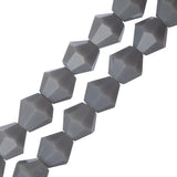 Crystal Lane Bicone 6mm Opaque Grey 2x7" Strand