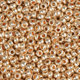 11/0 Czech Seed Beads #40001 Metallic Solgel Dark Gold 23g