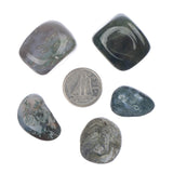 Green Moss Agate Tumbled Stone - Each