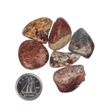 Brecciated Jasper Tumbled Stone - Each