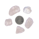 Rose Quartz Tumbled Stone - Each
