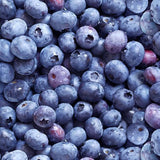Cotton Fabric Blueberries #509 - Half Yard
