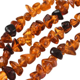 Amber Nuggets 5-9mm (Natural) 14-15" Strand