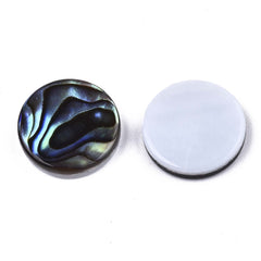 Shell Cabochons, Natural Abalone Round 12mm 2/pk