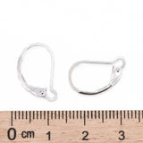 Sterling Silver Lever Back Earrings - 1 Pair