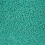 11/0 Czech Seed Beads #43155 Permalux Mint 23g
