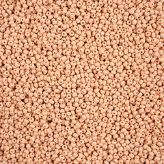 10/0 Czech Seed Beads #157 Permalux Matte Apricot 22g