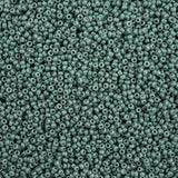 11/0 Miyuki Seed Beads #4481 Duracoat Eucalyptus 22g