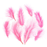 Marabou Feathers 5-7" Pink 6g