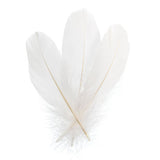 Goose Feathers White 6g