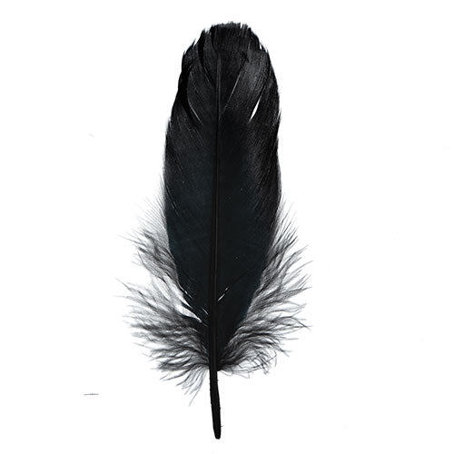 Goose Feathers Black 6g