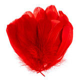 Goose Feathers Red 6g