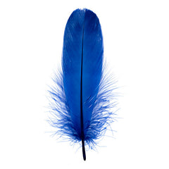 Goose Feathers 5-7" Royal Blue 6g