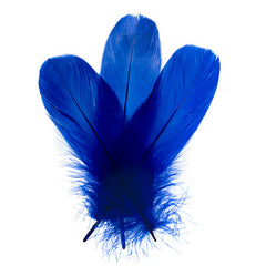 Goose Feathers 5-7" Royal Blue 6g