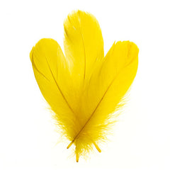 Goose Feathers 5-7" Yellow 6g