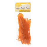 Goose Feathers Orange 6g