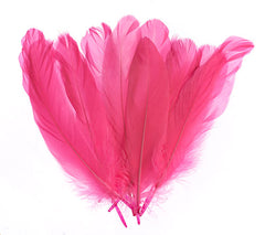 Goose Feathers 5-7" Pink 6g