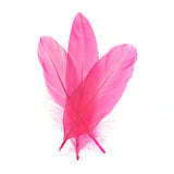 Goose Feathers Pink 6g